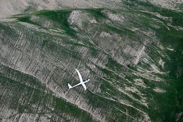 Gliding...© Etienne Pierart